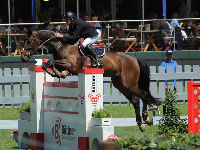 一個賽季為 一個賽季為