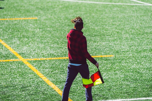 似乎是一种 似乎是一种