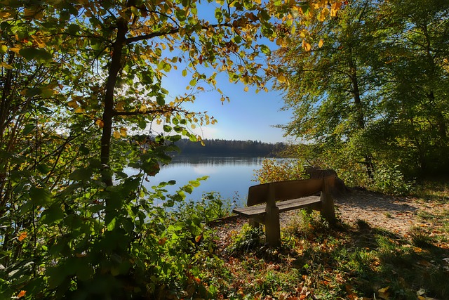 不仅提升了 不仅提升了